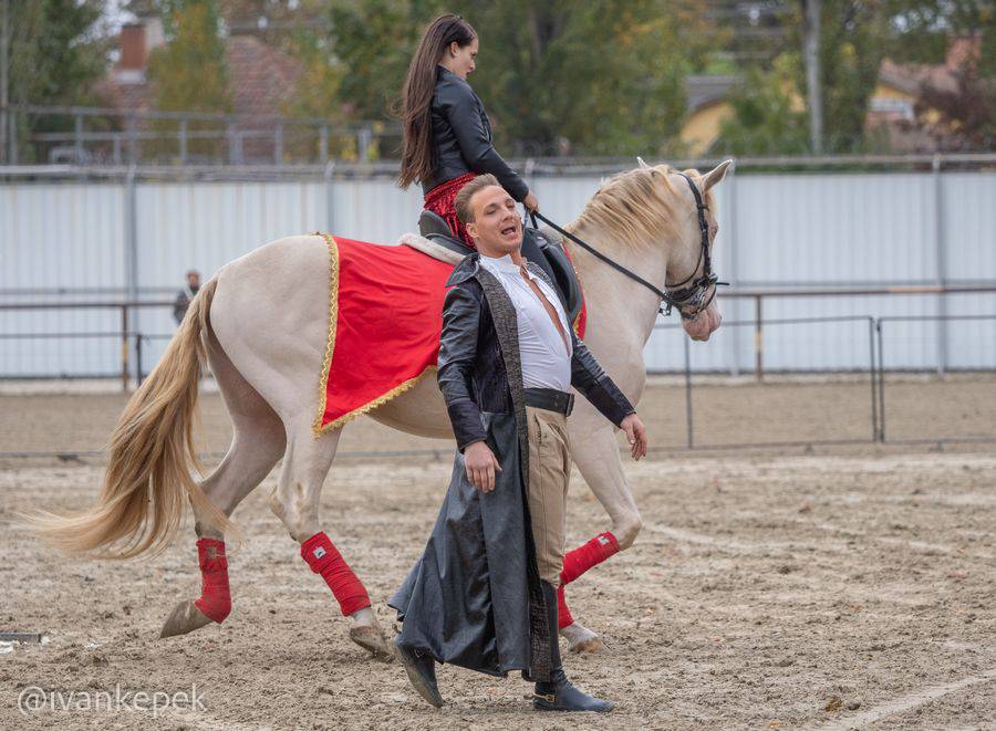 tartalekos_10tartalekos