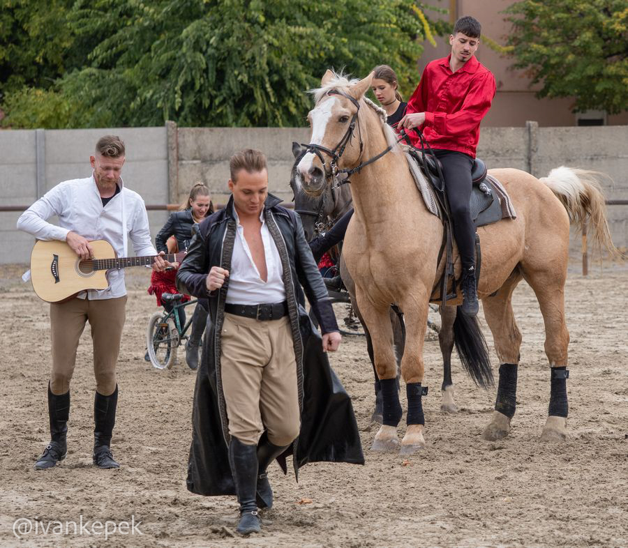 tartalekos_19tartalekos