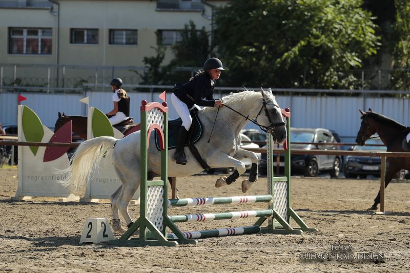 pc-dijugratas-50-60-cm_horvath-boglarka